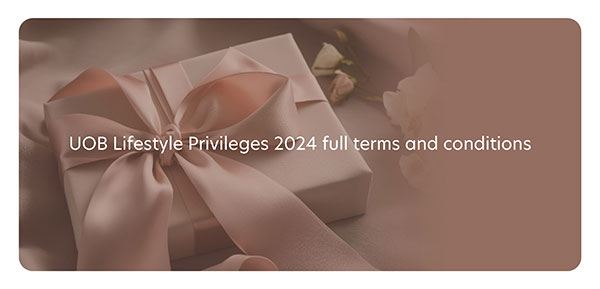 Privileges Terms & Conditions